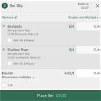bet365 bet slip